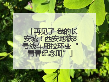 再见了 我的长安城！西安地铁8号线车厢拉环变“青春纪念册”