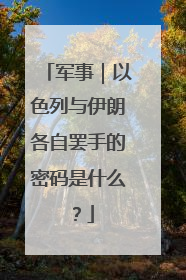 军事｜以色列与伊朗各自罢手的密码是什么？
