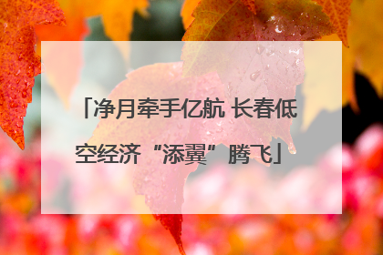 净月牵手亿航 长春低空经济“添翼”腾飞