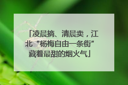 凌晨摘、清晨卖，江北“杨梅自由一条街”藏着最甜的烟火气