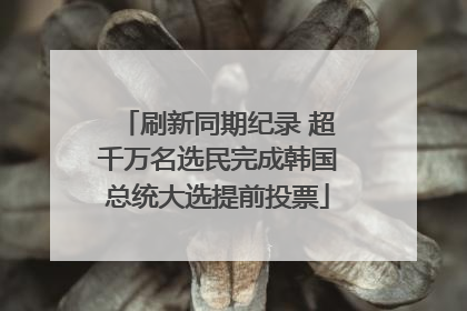 刷新同期纪录 超千万名选民完成韩国总统大选提前投票