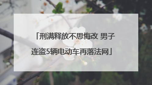 刑满释放不思悔改 男子连盗5辆电动车再落法网