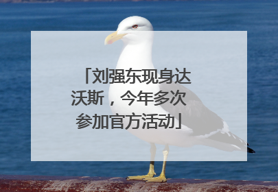 刘强东现身达沃斯，今年多次参加官方活动