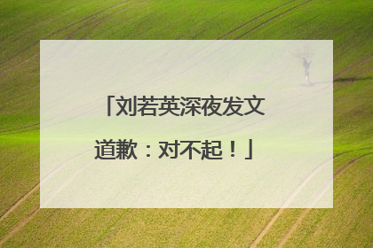 刘若英深夜发文道歉：对不起！