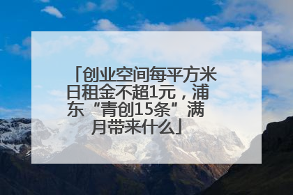 创业空间每平方米日租金不超1元，浦东“青创15条”满月带来什么