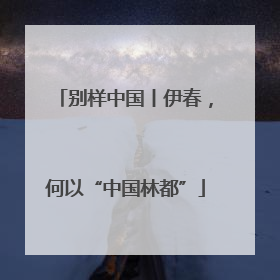 别样中国丨伊春，何以“中国林都”