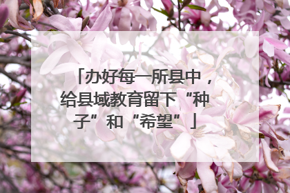 办好每一所县中，给县域教育留下“种子”和“希望”