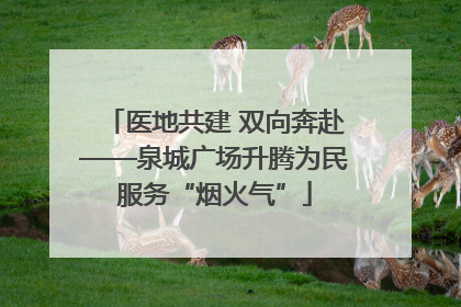 医地共建 双向奔赴——泉城广场升腾为民服务“烟火气”
