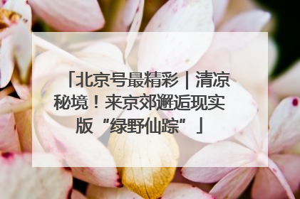 北京号最精彩｜清凉秘境！来京郊邂逅现实版“绿野仙踪”