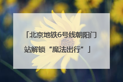 北京地铁6号线朝阳门站解锁“魔法出行”