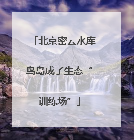 北京密云水库鸟岛成了生态“训练场”