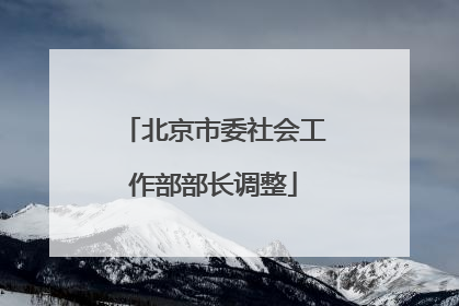 北京市委社会工作部部长调整
