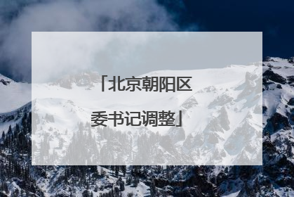 北京朝阳区委书记调整