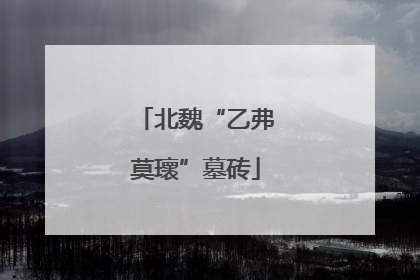北魏“乙弗莫瓌”墓砖