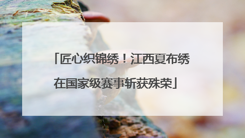 匠心织锦绣！江西夏布绣在国家级赛事斩获殊荣