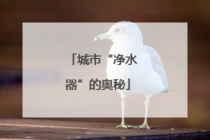 城市“净水器”的奥秘