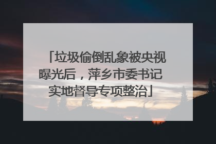 垃圾偷倒乱象被央视曝光后，萍乡市委书记实地督导专项整治