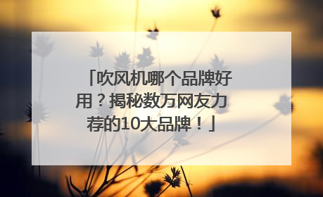 吹风机哪个品牌好用？揭秘数万网友力荐的10大品牌！