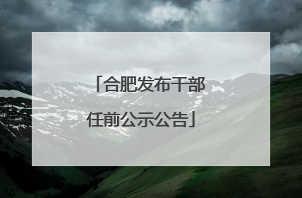 合肥发布干部任前公示公告