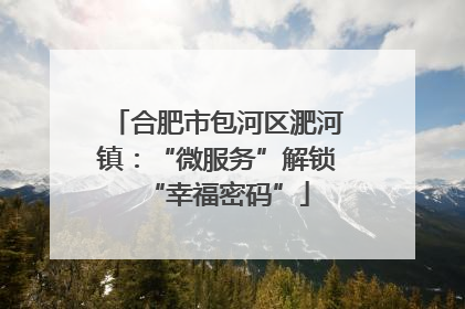 合肥市包河区淝河镇：“微服务”解锁“幸福密码”