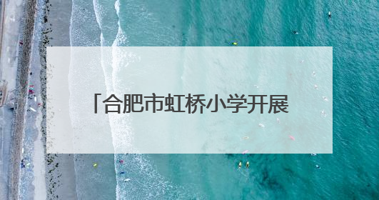 合肥市虹桥小学开展科学家进校园活动