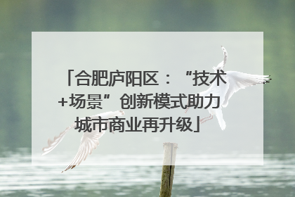 合肥庐阳区：“技术+场景”创新模式助力城市商业再升级