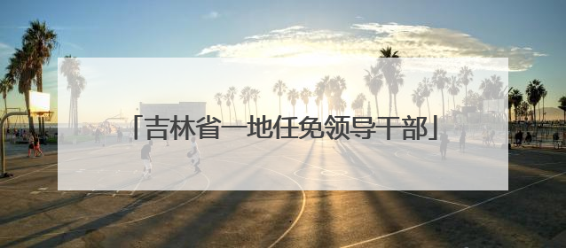 吉林省一地任免领导干部