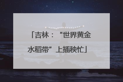 吉林：“世界黄金水稻带”上插秧忙