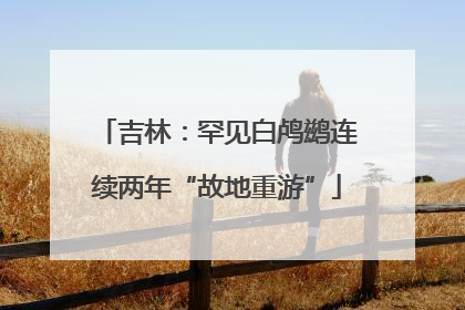 吉林：罕见白鸬鹚连续两年“故地重游”