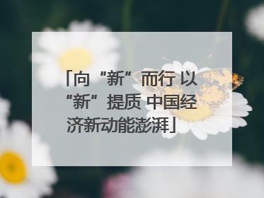 向“新”而行 以“新”提质 中国经济新动能澎湃