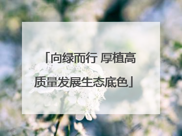 向绿而行 厚植高质量发展生态底色