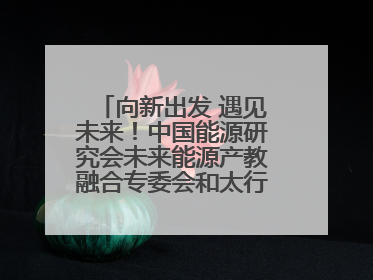 向新出发 遇见未来！中国能源研究会未来能源产教融合专委会和太行先进储能技术研究院在保定成立