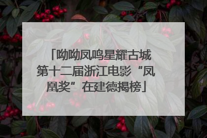 呦呦凤鸣星耀古城 第十二届浙江电影“凤凰奖”在建德揭榜