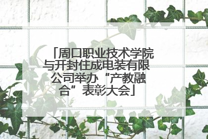 周口职业技术学院与开封住成电装有限 公司举办“产教融合”表彰大会