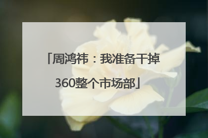 周鸿祎：我准备干掉360整个市场部