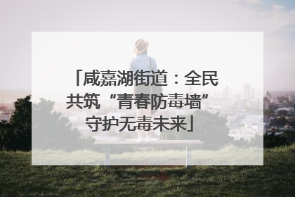 咸嘉湖街道：全民共筑“青春防毒墙” 守护无毒未来