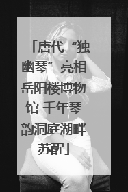 唐代“独幽琴”亮相岳阳楼博物馆 千年琴韵洞庭湖畔苏醒