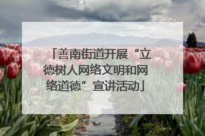 善南街道开展“立德树人网络文明和网络道德”宣讲活动