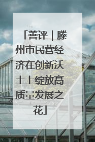 善评｜滕州市民营经济在创新沃土上绽放高质量发展之花
