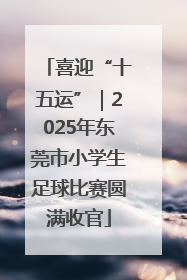 喜迎“十五运”｜2025年东莞市小学生足球比赛圆满收官
