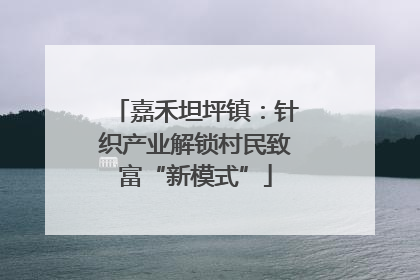 嘉禾坦坪镇：针织产业解锁村民致富“新模式”