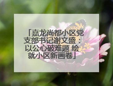 嘉龙尚都小区党支部书记谢文盛：以公心破难题 绘就小区新画卷
