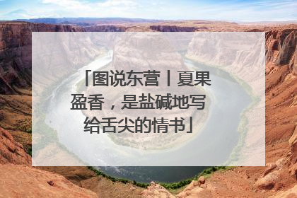 图说东营丨夏果盈香，是盐碱地写给舌尖的情书