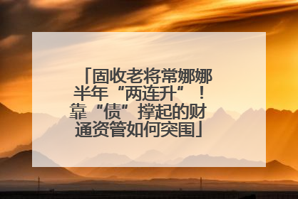 固收老将常娜娜半年“两连升”！靠“债”撑起的财通资管如何突围