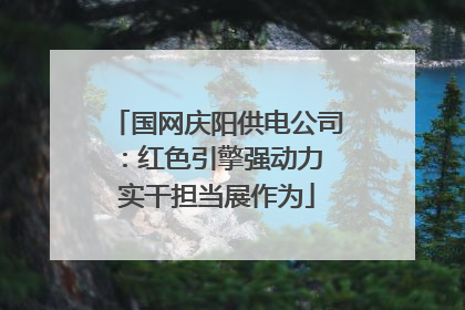国网庆阳供电公司：红色引擎强动力 实干担当展作为