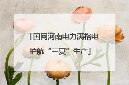国网河南电力满格电护航“三夏”生产
