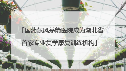 国药东风茅箭医院成为湖北省首家专业复学康复训练机构