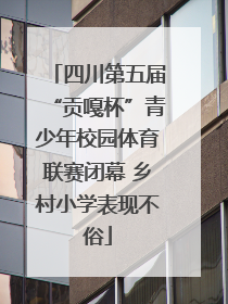 四川第五届“贡嘎杯”青少年校园体育联赛闭幕 乡村小学表现不俗