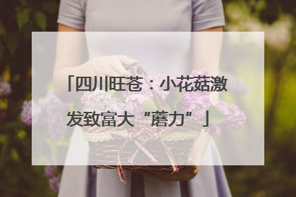四川旺苍：小花菇激发致富大“蘑力”