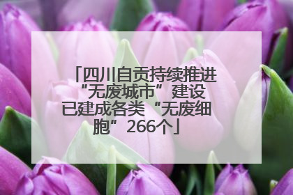 四川自贡持续推进“无废城市”建设 已建成各类“无废细胞”266个